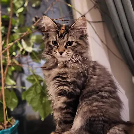 Boukersen Heim Kwatera prywatna