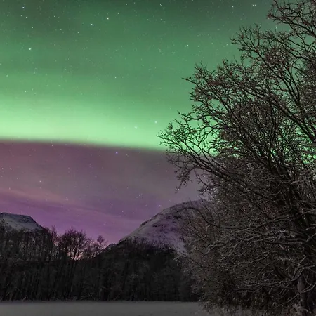 Aurora * 特罗姆瑟