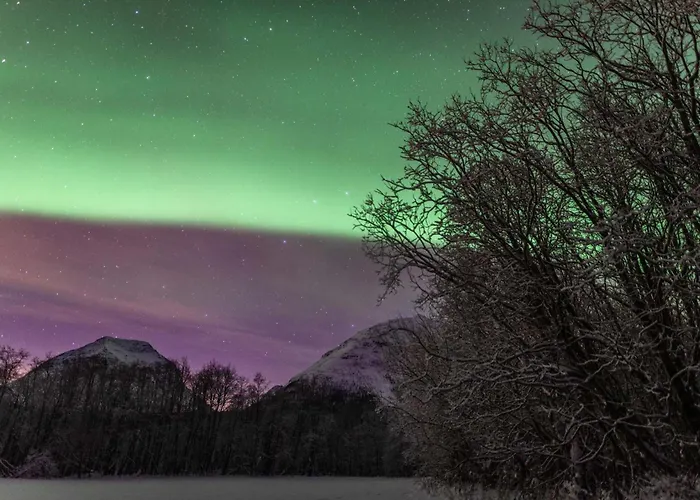 Boukersen Heim * Tromsø
